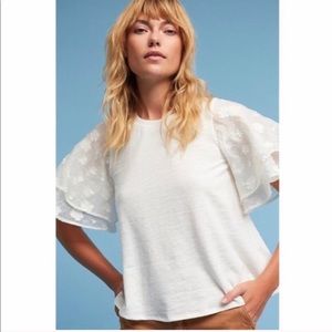 ANTHRO || Flutter Top